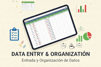 enter and organize your excel data