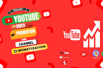 expert organic youtube video promotion aiding monetization
