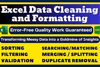 do excel data formatting, analysis and reports