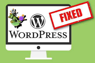 fix one wordpress or divi issue fast