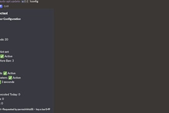 do a custom discord bot for you