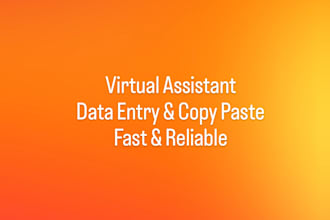 do data entry and copy paste tasks accurately