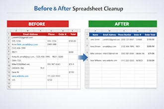 organize messy data into clean, usable spreadsheets