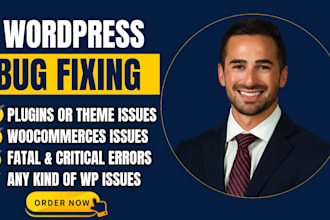 fix wordpress bugs errors issues and speed or security problems help elementor