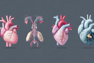 draw anatomy and medical vector illustration