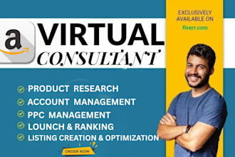 be professional amazon fba virtual consultant  amazon VA  virtual assistant