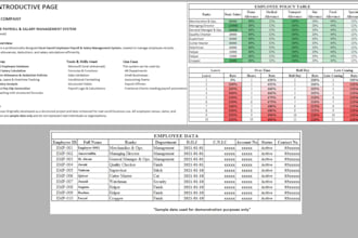 design a professional excel payroll system with dashboard