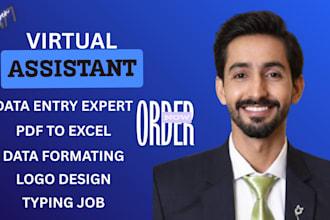 skilled freelancer excel data entry logo video editing