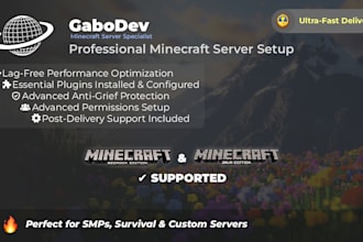 setup a professional and optimized minecraft server