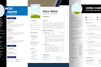 high impact infographic CV ready in 24 hours