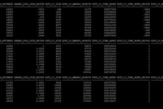 provide oracle dba support and performance tuning