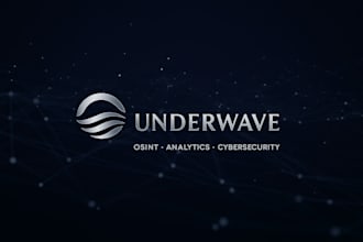 conduct corporate osint investigation and due diligence