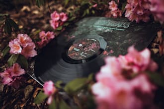 design album or single cover art