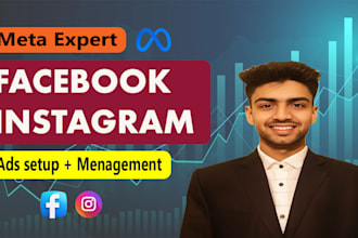 run facebook and instagram ads for leads and sales