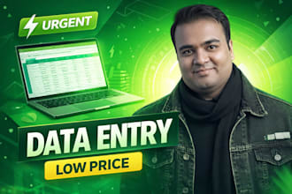 do urgent data entry and input data entry in low price