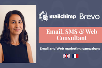 your mailchimp or brevo marketing consultant