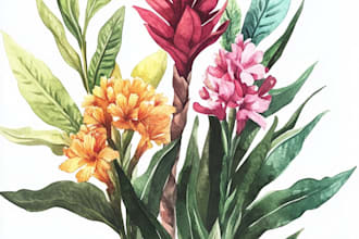 illustrate best botanical illustration