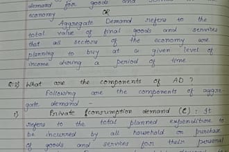 write neat handwritten projects