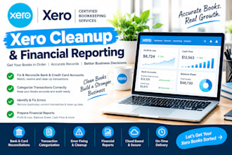 do xero cleanup and financial reporting