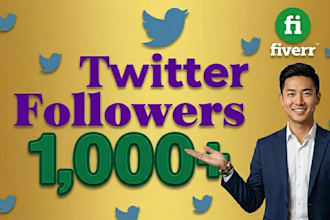 do twitter promotion fast organic growth to increase followers and engagement
