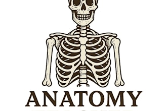 teach anatomy, physiology, biology, chemistry
