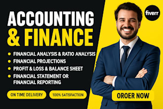 accounting finance assigned and prepare financial statements in excel