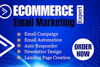 setup e commerce email marketing flows, landing page and automation