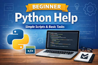 write simple scripts and beginner level programs