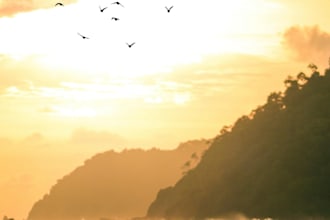 make beautiful and professional wallpapers