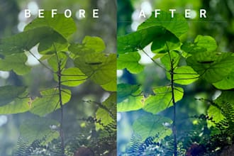 professionally colour correct and edit your photos naturally