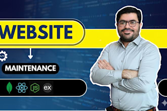 provide expert website maintenance
