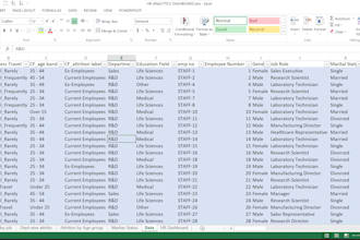 clean and analyze your excel data