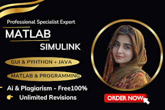 do matlab simulink and matlab programming  matlab task for you