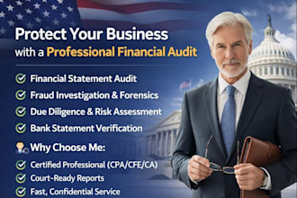perform financial audit, forensic accounting, fraud investigation and review