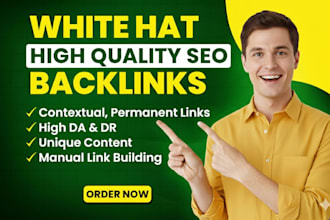 provide high quality DR backlink building with monthly off page SEO service