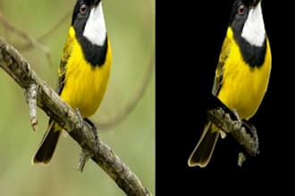 remove image background, remove objects, enhance photos