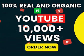 10,000 organic youtube video views from usa