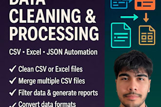 clean, process and organize your CSV or excel data with python