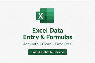 provide accurate data entry excel formulas for busniess