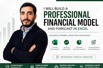 build a professional financial model and forecast in excel