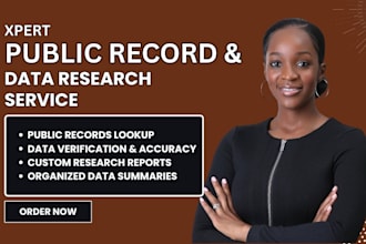 public record search and background information lookup manually in 24 hours