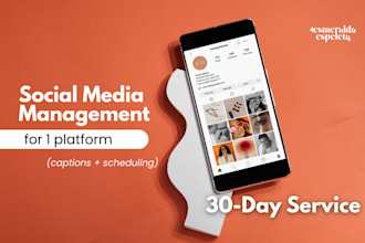 manage your instagram or linkedin content