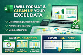 do professional data cleaning and formatting in ms excel