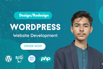 develop a professional wordpress or elementor website