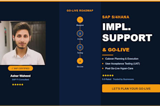 provide sap s4hana implementation support and go live assistance