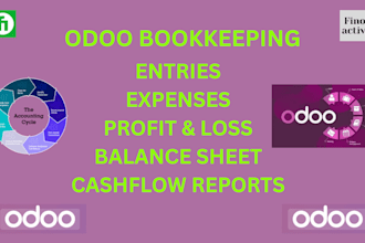 accounting bookeeping profit loss and bs reporting
