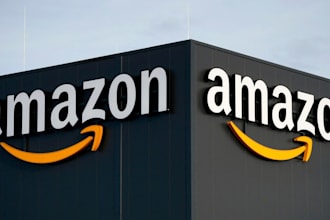 do ebay mc011 mc999 mc113 account reinstatement, amazon accounts, etsy accounts
