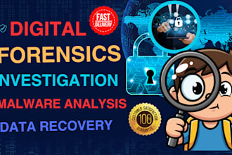 do digital forensics, cybercrime investigation, malware analysis and osint