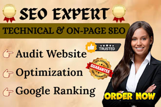 do business website seo service, optimization of wordpress website and audit