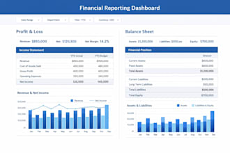 prepare profit and loss and balance sheet reports